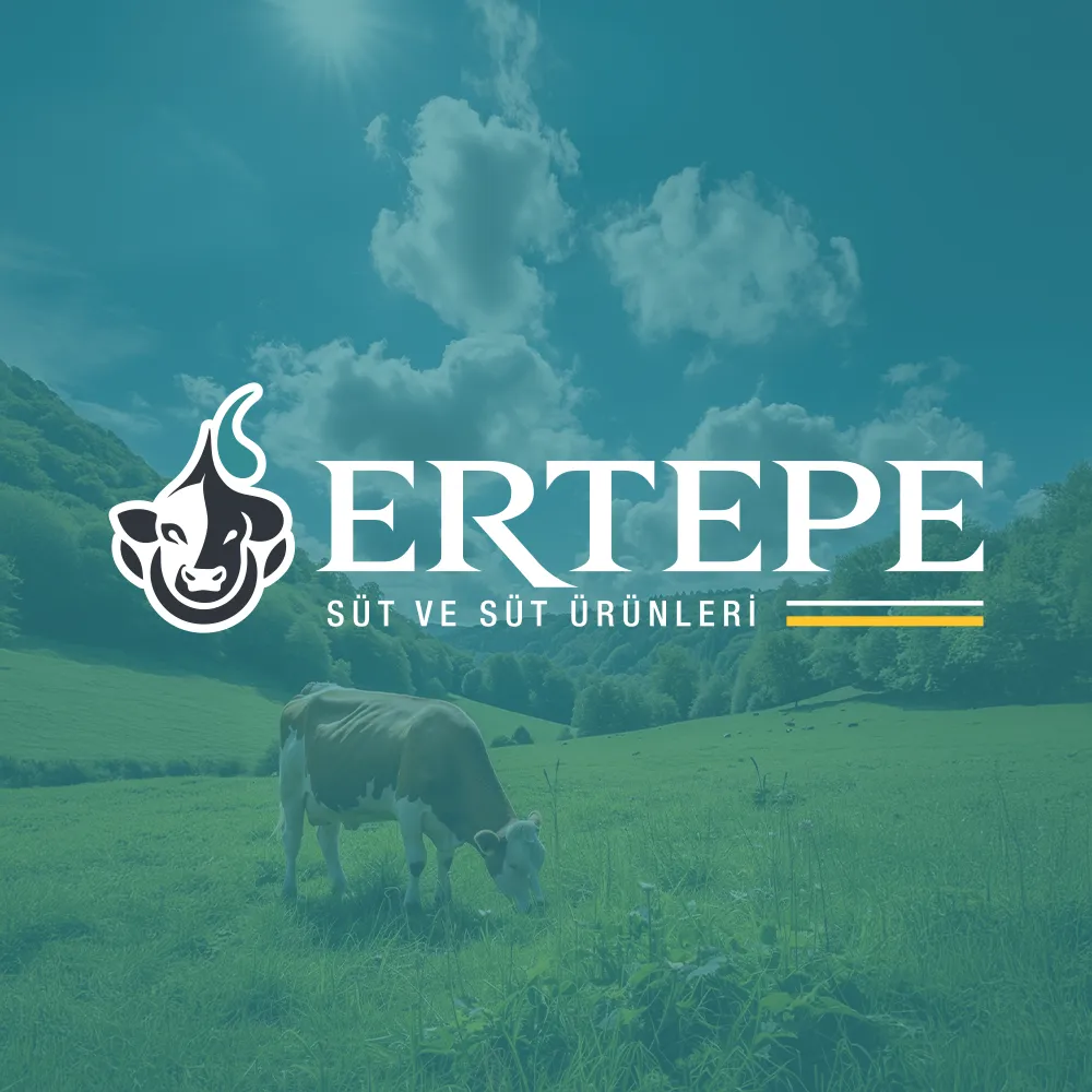 Web Sitemiz Yenilendi